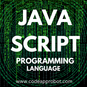 JAVA SCRIPT PROGRAMMING LANGUAGE